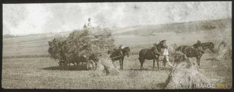 Moisson (Gigney)