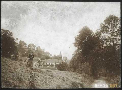 Fenaison (Lusse)