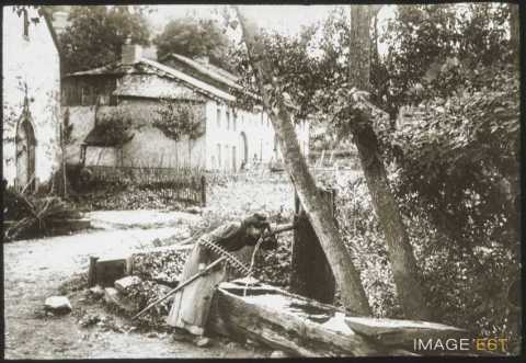 Femme buvant (Lusse)