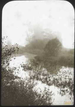 Cours d'eau et brouillard (Mont-Saint-Jean)