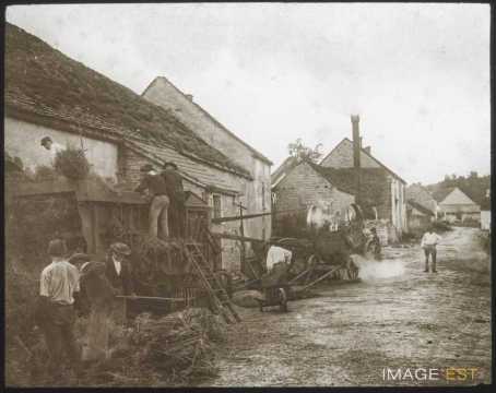 Battage de graines (Beaune)