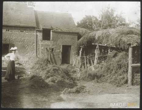 Fenil (Saint-Suliac)
