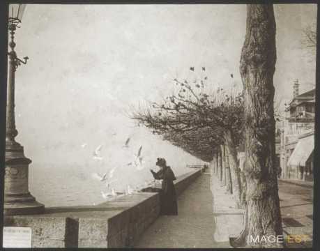 Femmes et mouettes (Montreux)