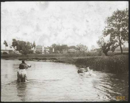 Chevaux à la baignade (Toul)
