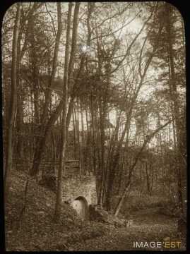 Bois et souterrain (Malzéville)