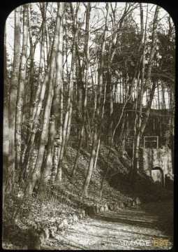 Bois et souterrain (Malzéville)