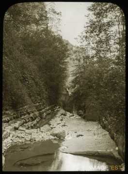 Chemin de forêt (Saint-Jean-d'Arvey)