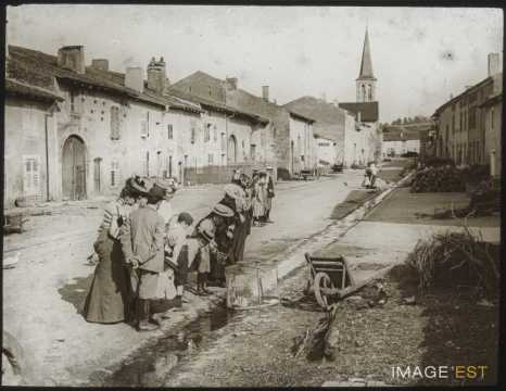 Couvée de canards (Belleville)