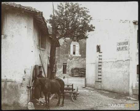 Homme et cheval (Belleville)