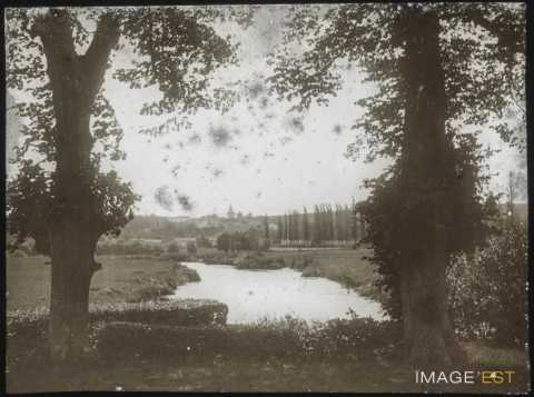 La Moselle (Affracourt)