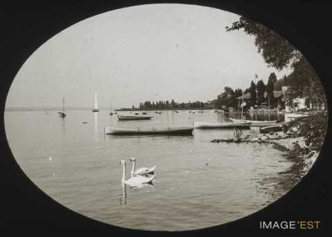 Port de la Belotte (Cologny)
