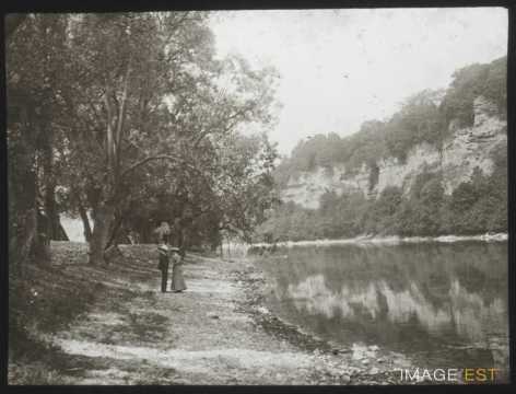 Sentier des Saules (Genève)