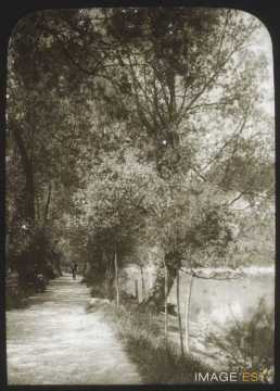 Sentier des Saules (Genève)