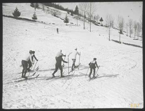 Skieurs (Gérardmer)