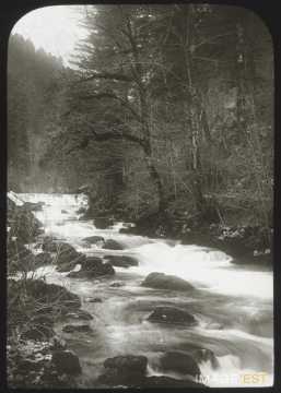 Cours d'eau la Réverotte (La Sommette)