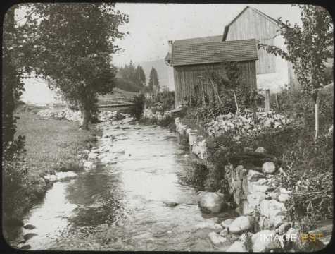 Ruisseau de Scarupt (Fraize)