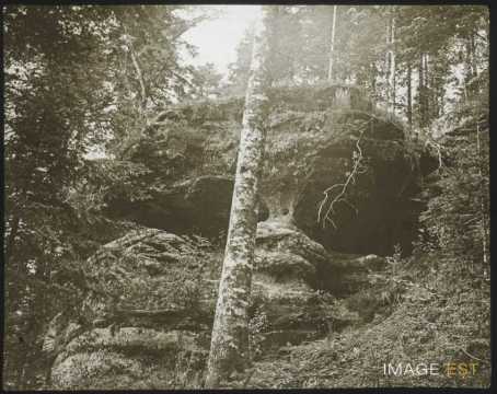 Roche du Tru (Luvigny)
