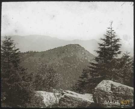 Sommet du Petit Donon (Granfontaine)