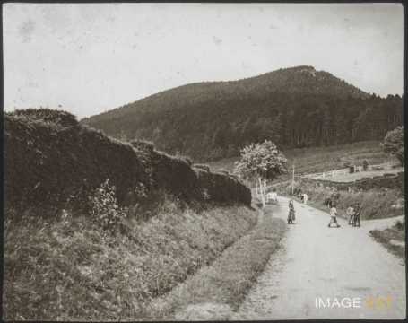 Sommet du Petit Donon (Granfontaine)