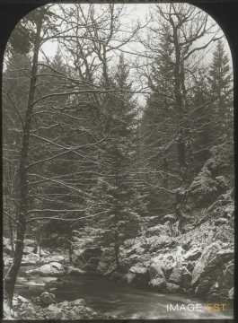 Ruisseau (Senones)