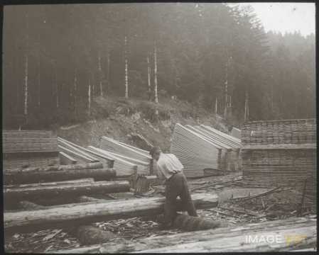 Scierie (Vosges)