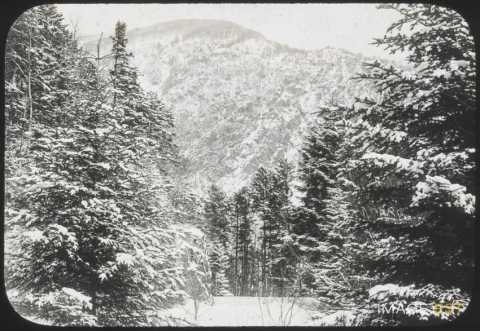 Col enneigé (Bussang)