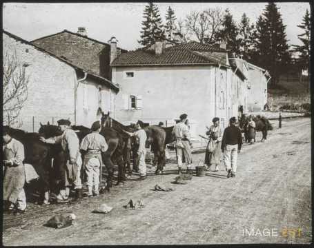 Pansage de chevaux (Ville-sur-Illon)