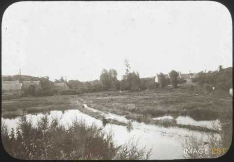 Marécage