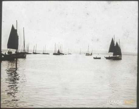 Voiliers (Douarnenez)