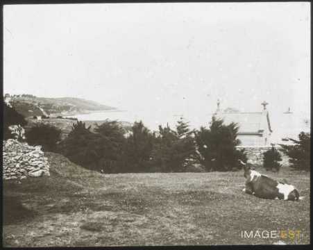 Côte (Audierne)