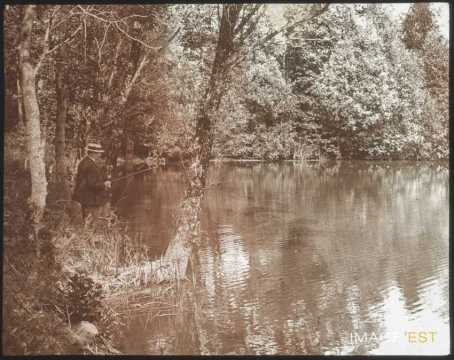 Étang de Quercigny (Bouxières-aux-Chênes)