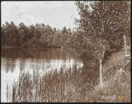 Étang de Quercigny (Bouxières-aux-Chênes)