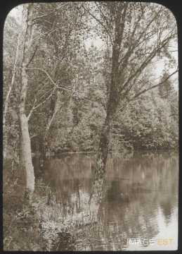 Étang de Quercigny (Bouxières-aux-Chênes)