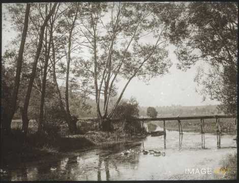 La Moselle (Pierre-la-Treiche)