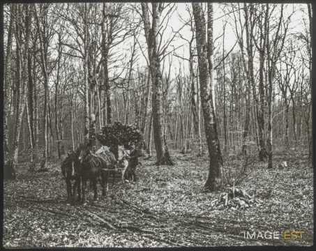 Attelage (Brin-sur-Seille)