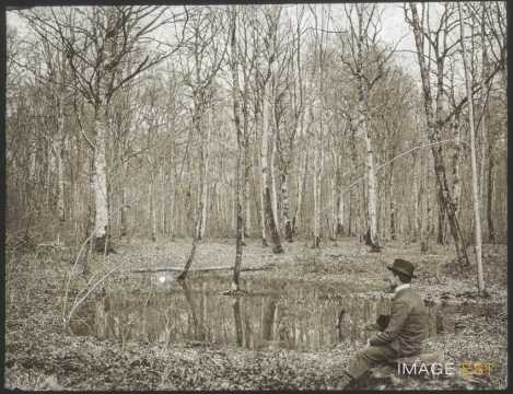 Forêt (Brin-sur-Seille)