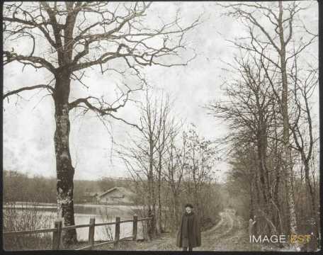 Étang (Brin-sur-Seille)