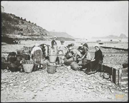 Écaillères (Cancale)