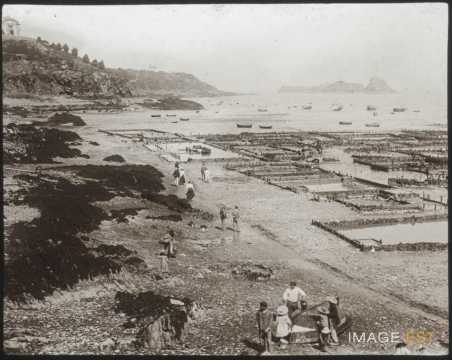 Parc à huîtres (Cancale)