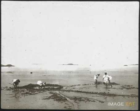 Plage (Saint-Quay-Portrieux)