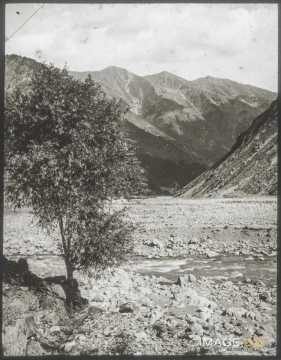 Vallée de la Tinée (Isola)