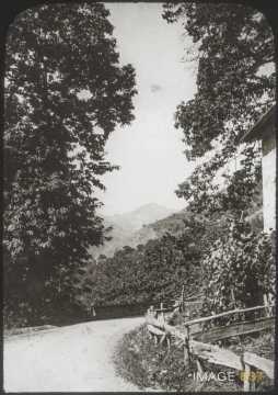 Route de campagne (Saint-Martin-Vésubie)