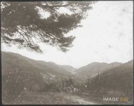Paysage vallonné (Menton)