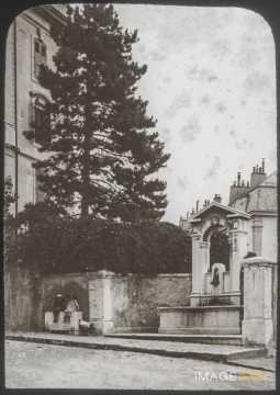 Fontaine du Pin (Genève)