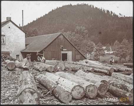 Scierie (Luvigny)