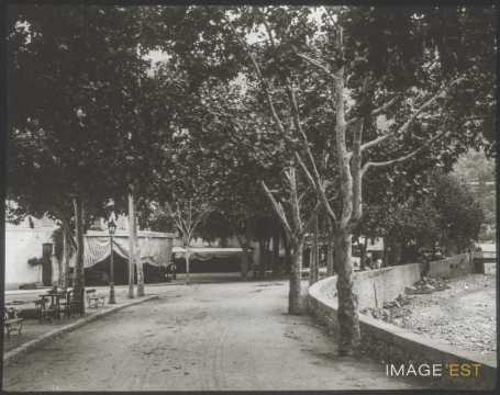Allée de platanes (Puget-Théniers)