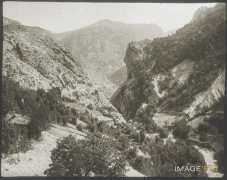 Gorges de Daluis (Guillaumes)