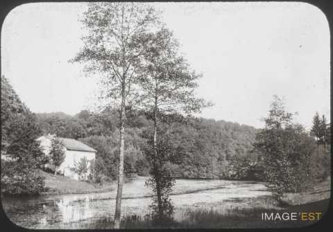 Étang (Charmois-l'Orgueilleux)