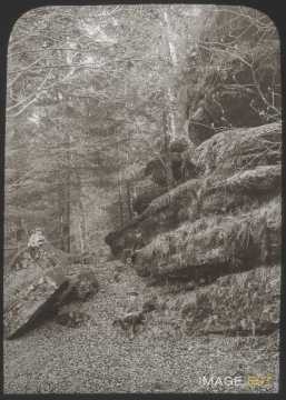 Roches (Escles)