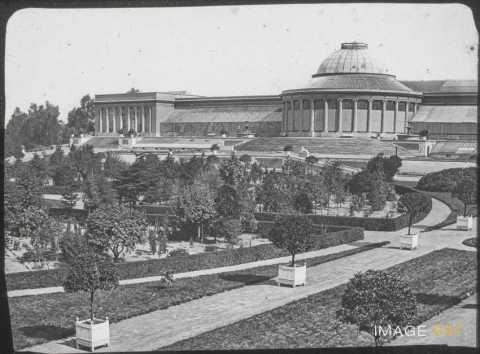 Jardin botanique (Bruxelles)